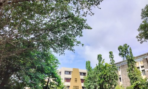 治儿童哮喘的药常用药名-治疗儿童哮喘的药有哪些、治儿童哮喘的药常用药有哪些 -治儿童哮喘的药常用药网